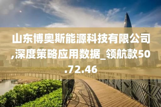 山东博奥斯能源科技有限公司,深度策略应用数据_领航款50.72.46