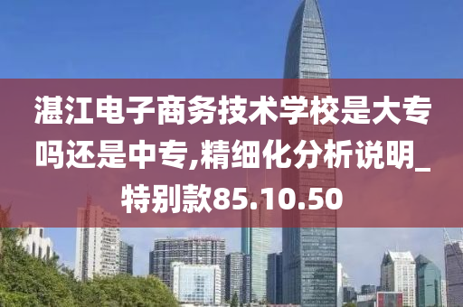 湛江电子商务技术学校是大专吗还是中专,精细化分析说明_特别款85.10.50