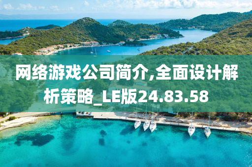 网络游戏公司简介,全面设计解析策略_LE版24.83.58