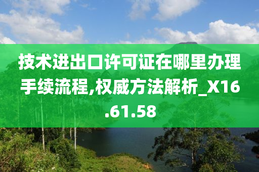 技术进出口许可证在哪里办理手续流程,权威方法解析_X16.61.58