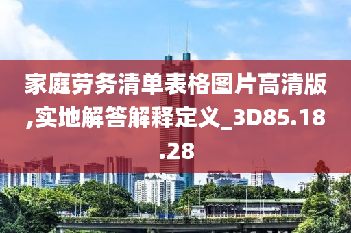 家庭劳务清单表格图片高清版,实地解答解释定义_3D85.18.28