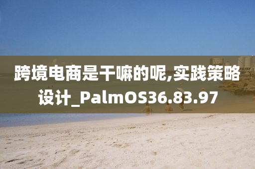 跨境电商是干嘛的呢,实践策略设计_PalmOS36.83.97