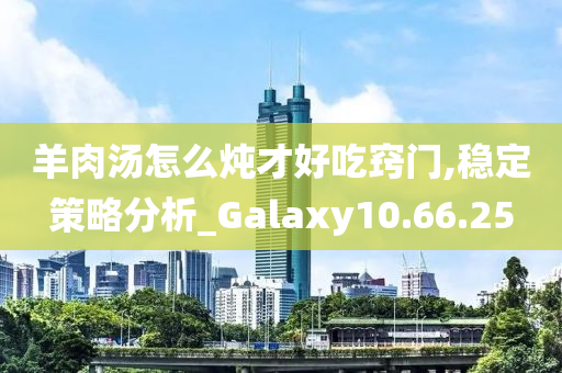 羊肉汤怎么炖才好吃窍门,稳定策略分析_Galaxy10.66.25