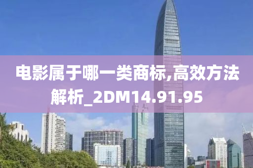 电影属于哪一类商标,高效方法解析_2DM14.91.95