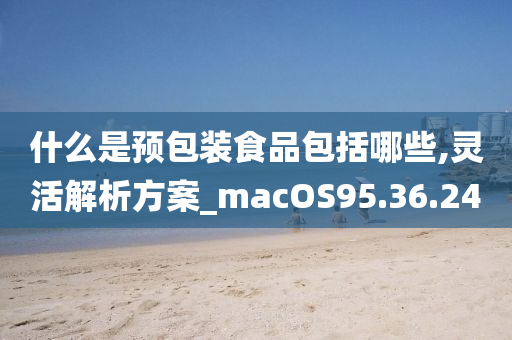 什么是预包装食品包括哪些,灵活解析方案_macOS95.36.24