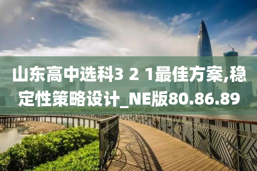 山东高中选科3 2 1最佳方案,稳定性策略设计_NE版80.86.89