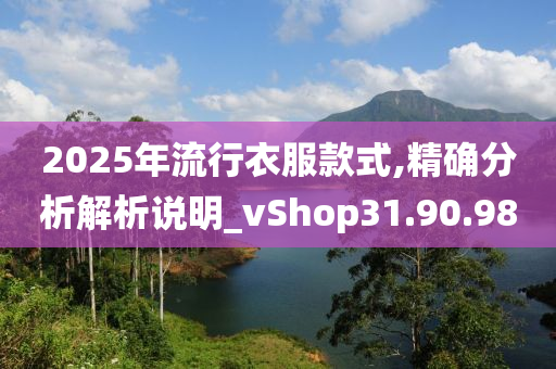 2025年流行衣服款式,精确分析解析说明_vShop31.90.98