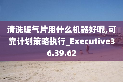 清洗暖气片用什么机器好呢,可靠计划策略执行_Executive36.39.62