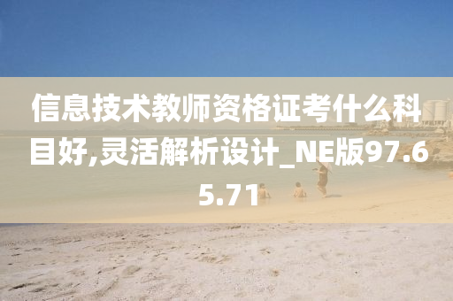 信息技术教师资格证考什么科目好,灵活解析设计_NE版97.65.71