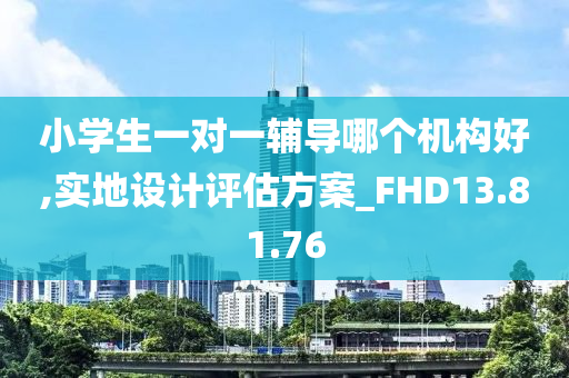 小学生一对一辅导哪个机构好,实地设计评估方案_FHD13.81.76