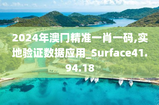 2024年澳冂精准一肖一码,实地验证数据应用_Surface41.94.18