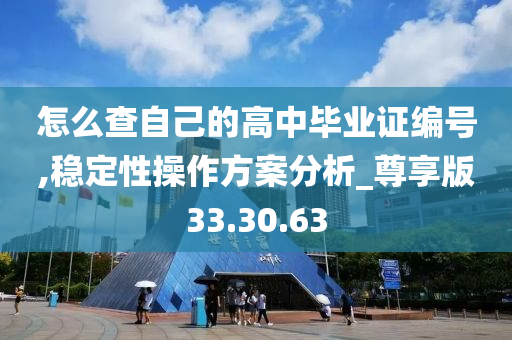 怎么查自己的高中毕业证编号,稳定性操作方案分析_尊享版33.30.63