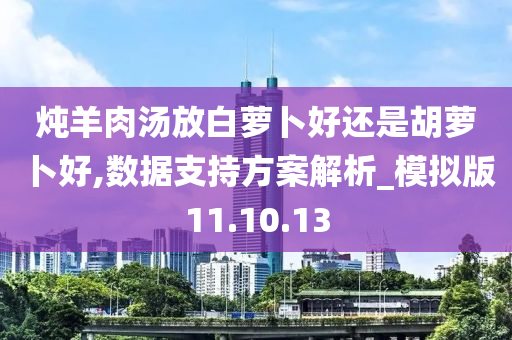 炖羊肉汤放白萝卜好还是胡萝卜好,数据支持方案解析_模拟版11.10.13