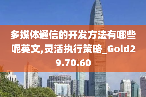 多媒体通信的开发方法有哪些呢英文,灵活执行策略_Gold29.70.60