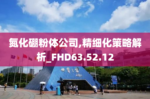 氮化硼粉体公司,精细化策略解析_FHD63.52.12