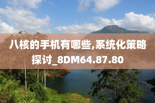 八核的手机有哪些,系统化策略探讨_8DM64.87.80