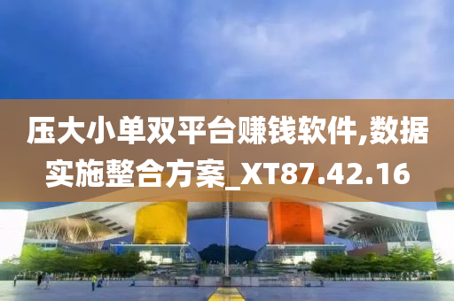 压大小单双平台赚钱软件,数据实施整合方案_XT87.42.16