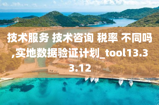 技术服务 技术咨询 税率 不同吗,实地数据验证计划_tool13.33.12