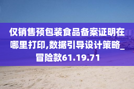 仅销售预包装食品备案证明在哪里打印,数据引导设计策略_冒险款61.19.71