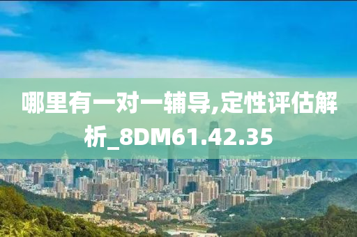 哪里有一对一辅导,定性评估解析_8DM61.42.35