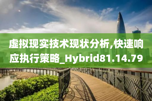 虚拟现实技术现状分析,快速响应执行策略_Hybrid81.14.79