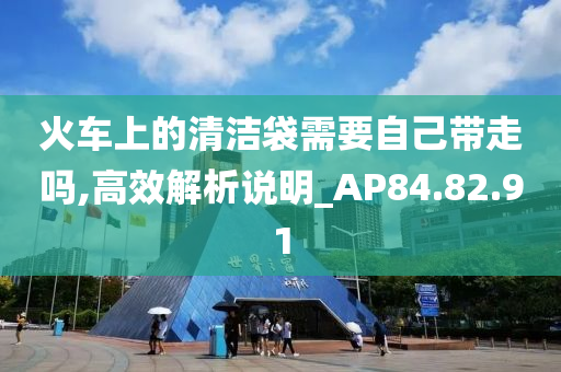 火车上的清洁袋需要自己带走吗,高效解析说明_AP84.82.91