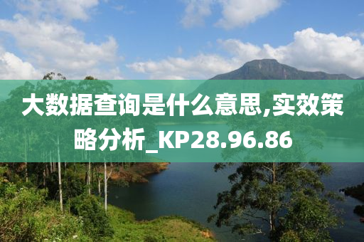 大数据查询是什么意思,实效策略分析_KP28.96.86