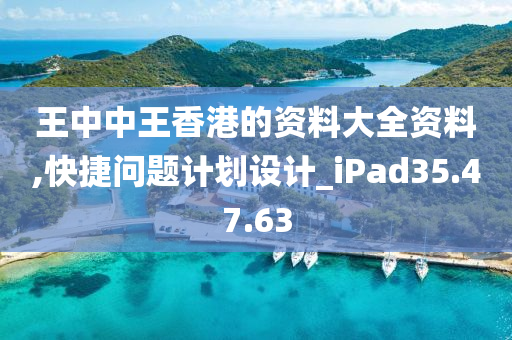 王中中王香港的资料大全资料,快捷问题计划设计_iPad35.47.63