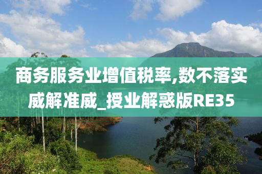 商务服务业增值税率,数不落实威解准威_授业解惑版RE35