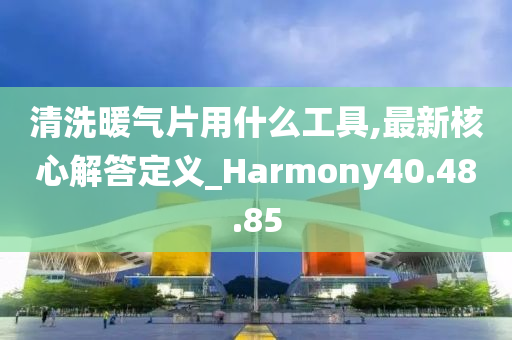 清洗暖气片用什么工具,最新核心解答定义_Harmony40.48.85