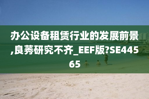 办公设备租赁行业的发展前景,良莠研究不齐_EEF版?SE44565