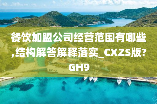 餐饮加盟公司经营范围有哪些,结构解答解释落实_CXZS版?GH9