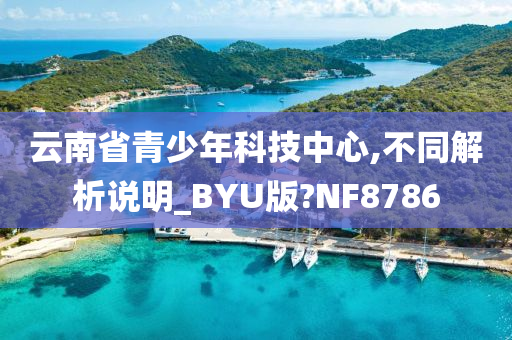 云南省青少年科技中心,不同解析说明_BYU版?NF8786