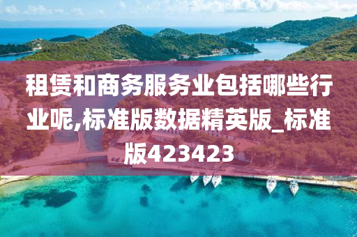 租赁和商务服务业包括哪些行业呢,标准版数据精英版_标准版423423