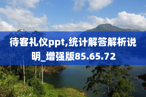 待客礼仪ppt,统计解答解析说明_增强版85.65.72