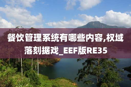 餐饮管理系统有哪些内容,权域落刻据戏_EEF版RE35