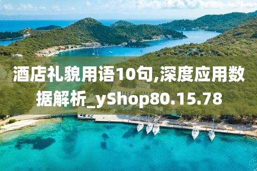 酒店礼貌用语10句,深度应用数据解析_yShop80.15.78