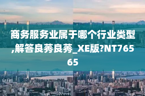 商务服务业属于哪个行业类型,解答良莠良莠_XE版?NT76565