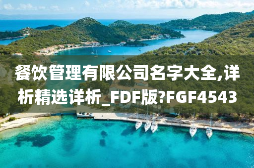 餐饮管理有限公司名字大全,详析精选详析_FDF版?FGF4543