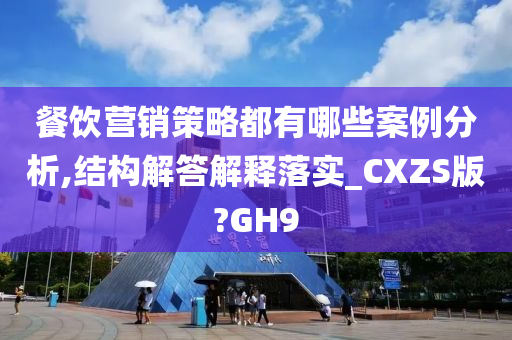 餐饮营销策略都有哪些案例分析,结构解答解释落实_CXZS版?GH9