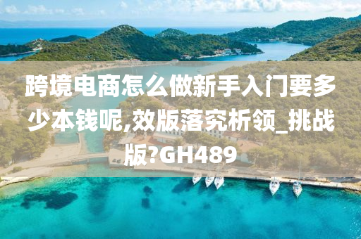 跨境电商怎么做新手入门要多少本钱呢,效版落究析领_挑战版?GH489