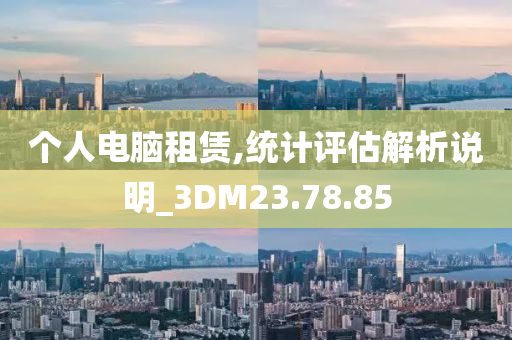 个人电脑租赁,统计评估解析说明_3DM23.78.85