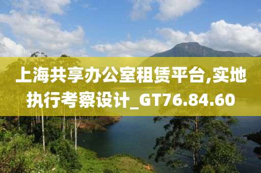 上海共享办公室租赁平台,实地执行考察设计_GT76.84.60