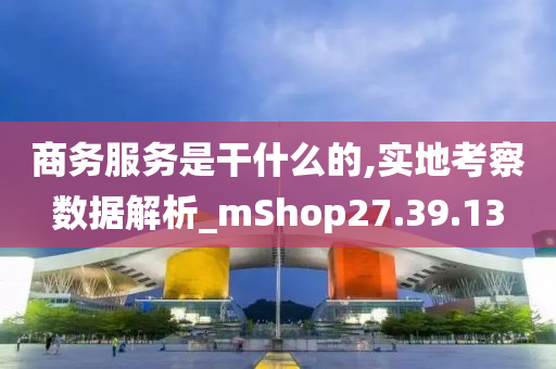 商务服务是干什么的,实地考察数据解析_mShop27.39.13