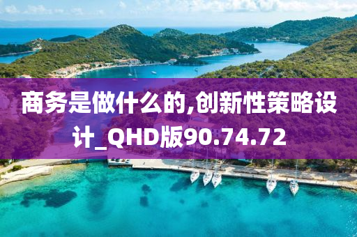 商务是做什么的,创新性策略设计_QHD版90.74.72