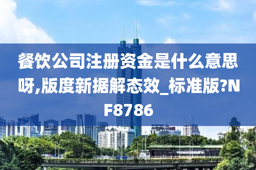 餐饮公司注册资金是什么意思呀,版度新据解态效_标准版?NF8786