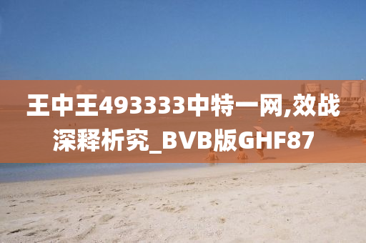 王中王493333中特一网,效战深释析究_BVB版GHF87