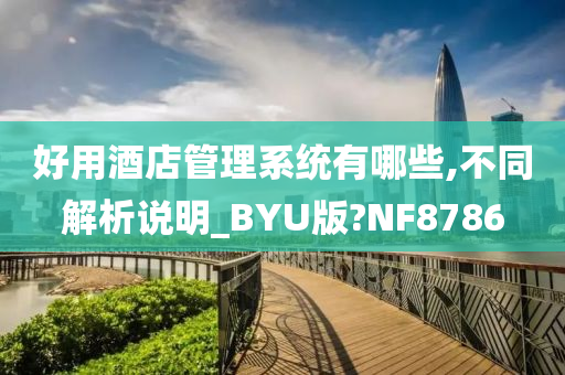 好用酒店管理系统有哪些,不同解析说明_BYU版?NF8786