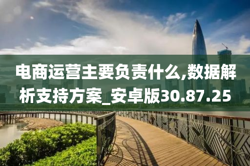 电商运营主要负责什么,数据解析支持方案_安卓版30.87.25