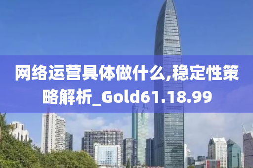 网络运营具体做什么,稳定性策略解析_Gold61.18.99